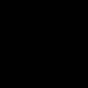 Meet your Posher, Cameran